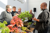 Lecture: The Art of Bonsai: Robert Mahler