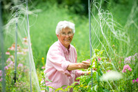 The Garden Ministry St. Josephs college