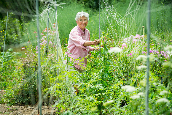 S. Mary Lou Buser, founder of the Sisters of St. Joseph garden ministry