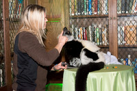 Save the Lemurs Gala