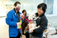 SBUH Volunteers
