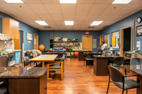 Stony Brook Hand Rehabilitation Office